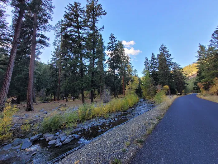 Taneum Junction Campground Picture 3