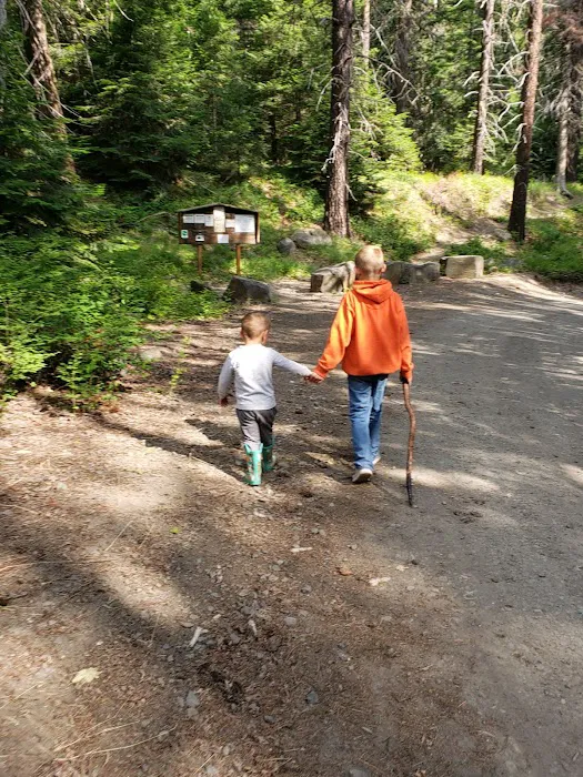 Taneum Junction Campground Picture 4