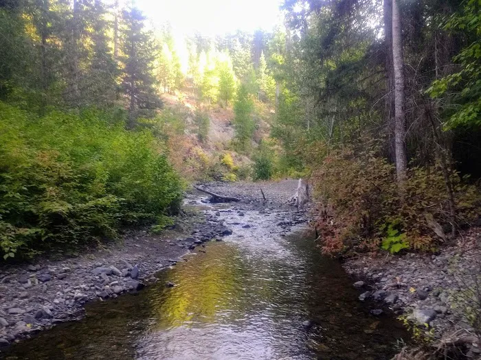 Taneum Junction Campground Picture 7