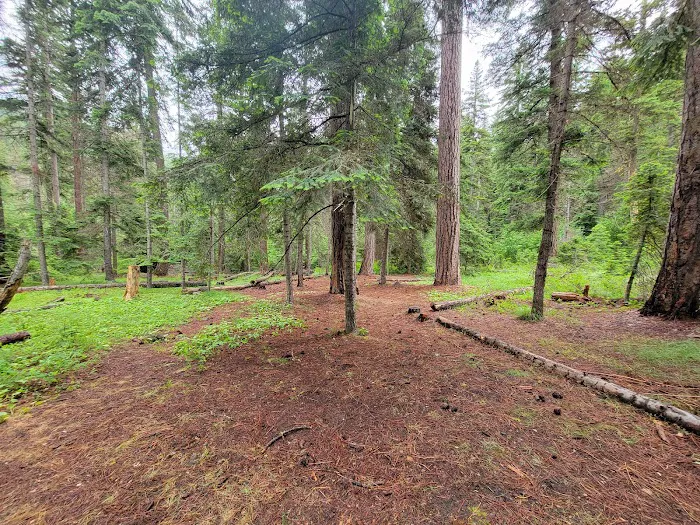Mineral Springs Group Campground Picture 2