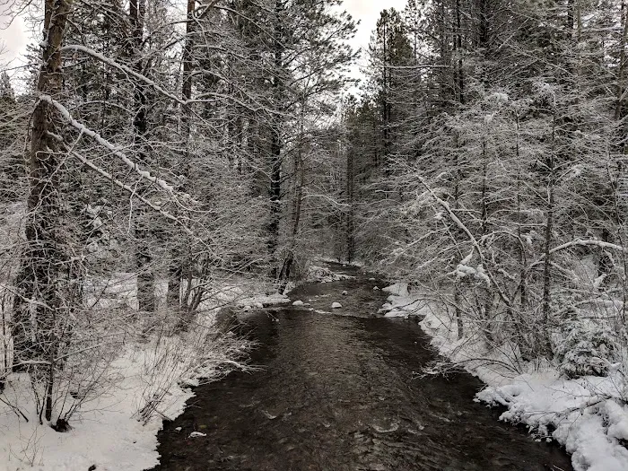 Icewater Creek Campground Picture 3