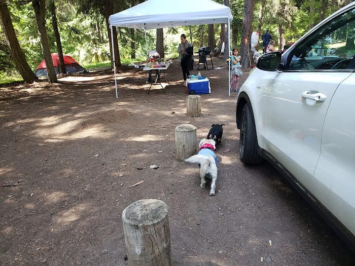 Icewater Creek Campground Picture 8