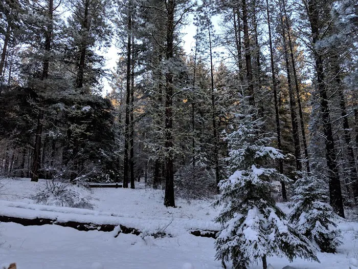 Icewater Creek Campground Picture 6