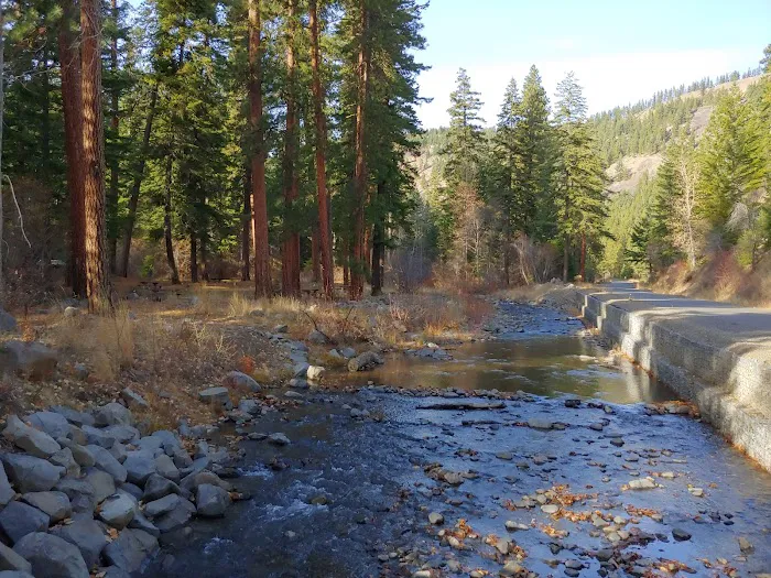 Taneum Campground Picture 2