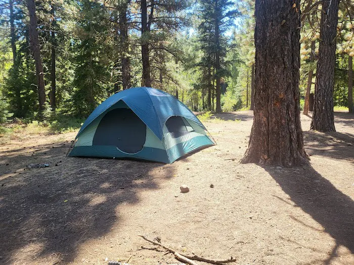 Taneum Campground Picture 7