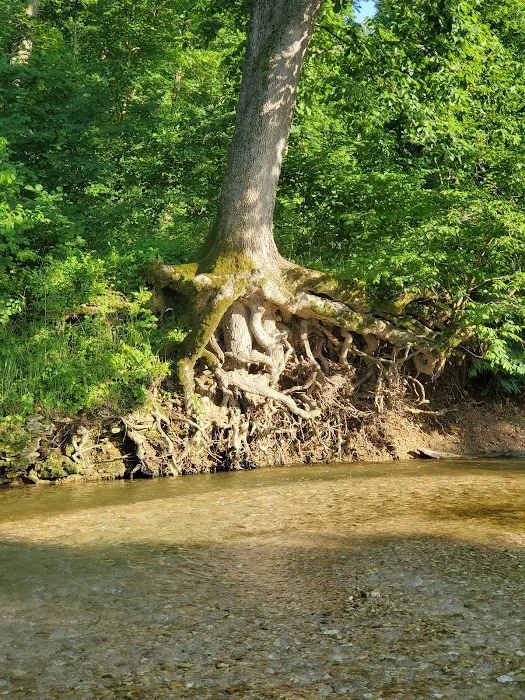 Whippoorwill Camp Ground Picture 3