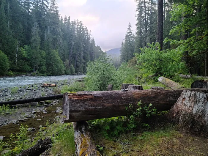 La Wis Wis Campground Picture 3