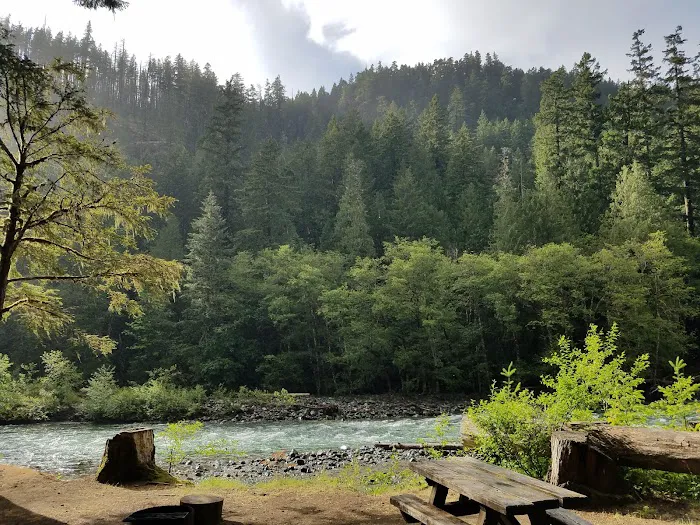 La Wis Wis Campground Picture 2