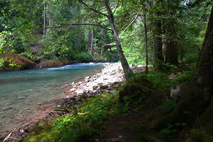 La Wis Wis Campground Picture 6
