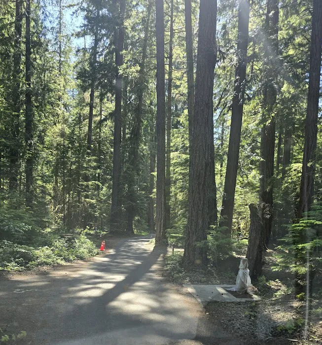La Wis Wis Campground Picture 5