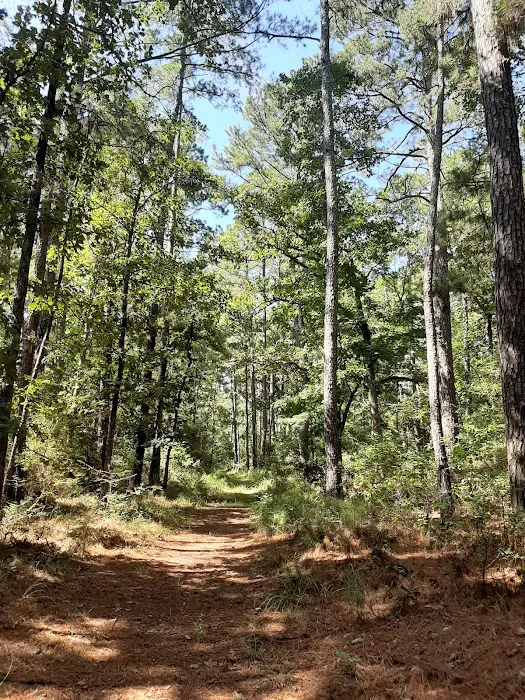 Piney Creek Horse Camp Picture 3