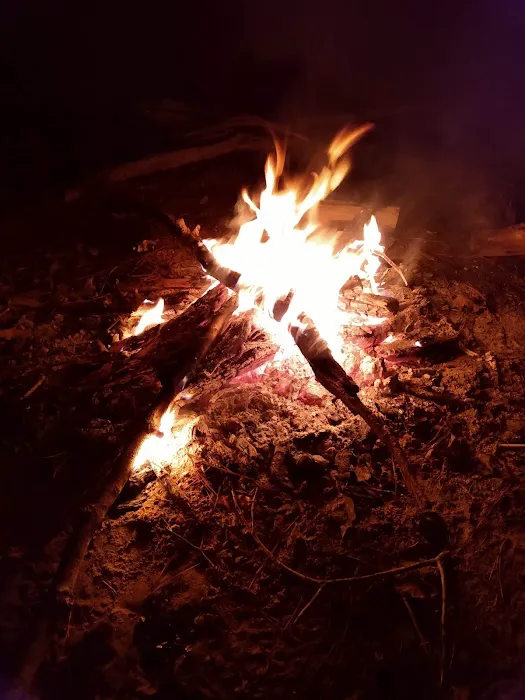 Piney Creek Horse Camp Picture 10