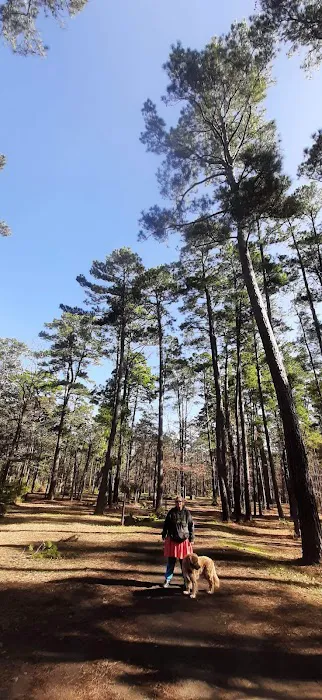 Piney Creek Horse Camp Picture 9