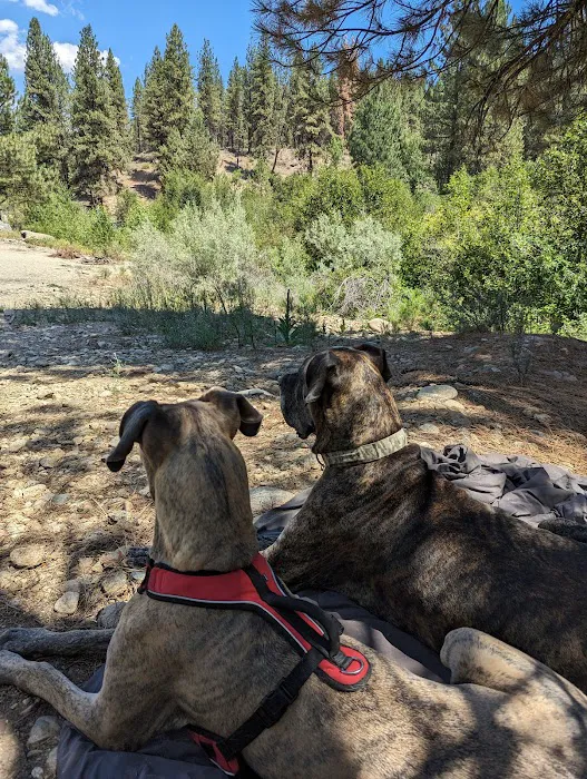 Granite Creek Campground, Idaho City, Idaho Picture 7