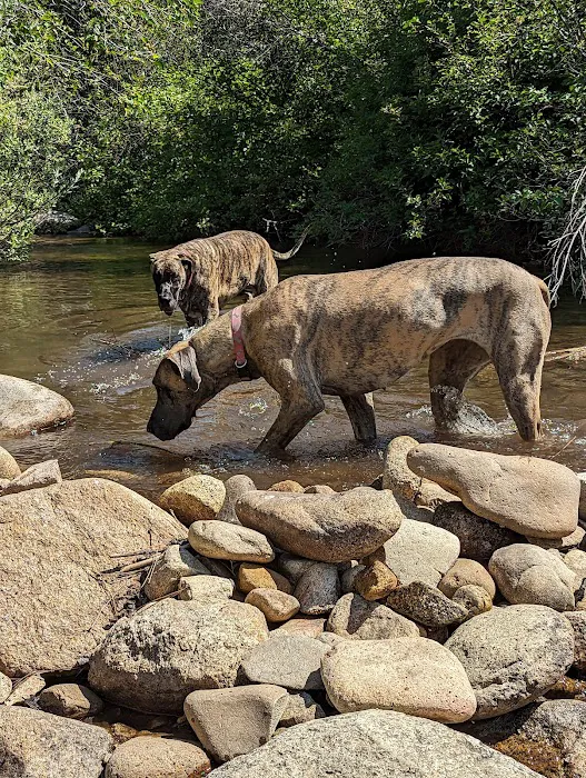 Granite Creek Campground, Idaho City, Idaho Picture 4