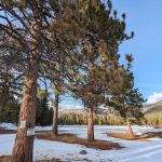 Big Springs Campground