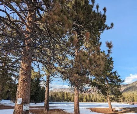 Big Springs Campground