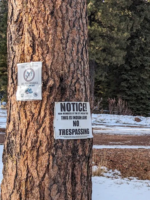 Big Springs Campground Picture 6