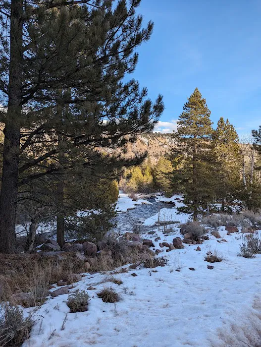 Big Springs Campground Picture 8