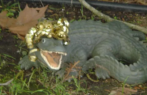 New Orleans KOA Holiday Picture 9