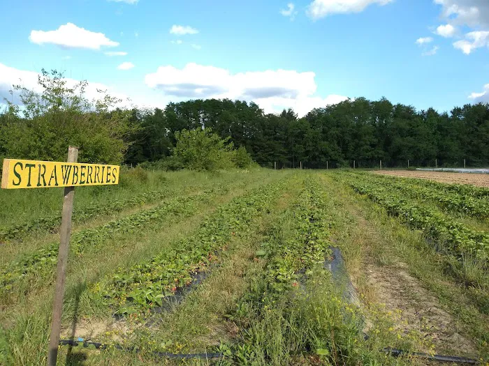 College Settlement Camps-Headwaters Of Pennypack Creek Picture 3