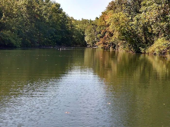 College Settlement Camps-Headwaters Of Pennypack Creek Picture 4