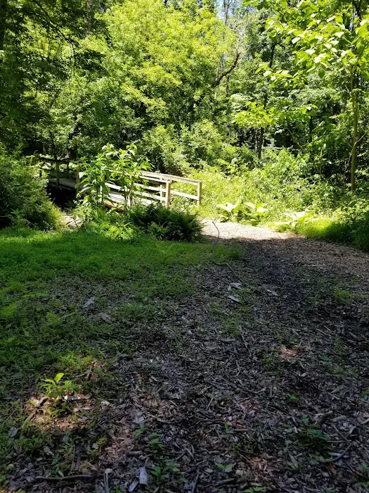 College Settlement Camps-Headwaters Of Pennypack Creek Picture 9