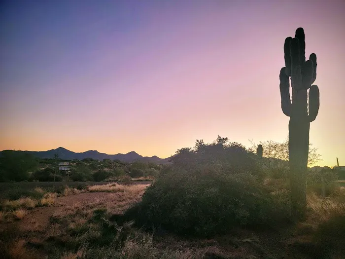 Rowland Campground At McDowell Mountain Park Picture 1