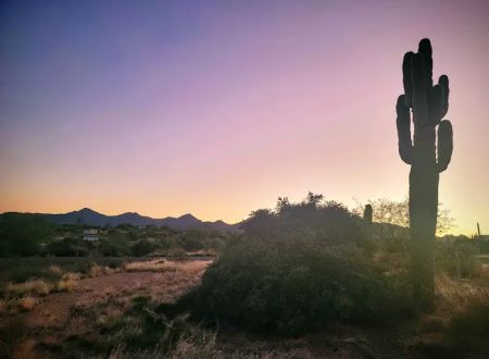 Rowland Campground At McDowell Mountain Park