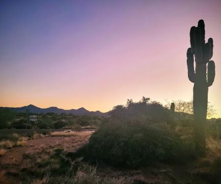 Rowland Campground At McDowell Mountain Park