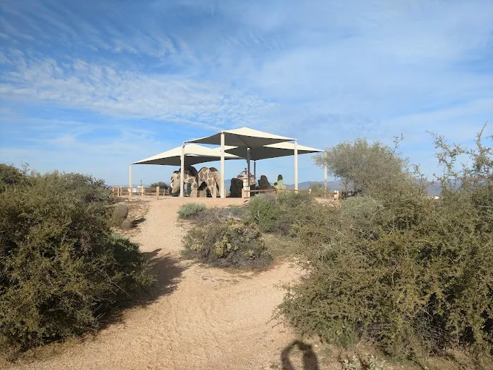 Rowland Campground At McDowell Mountain Park Picture 3