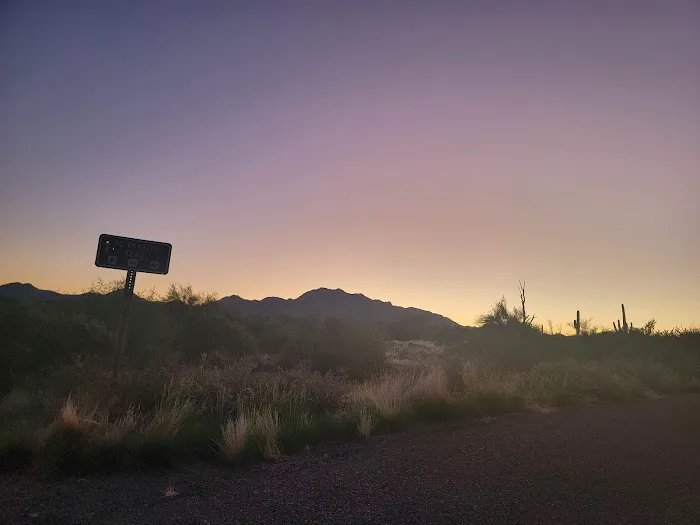 Rowland Campground At McDowell Mountain Park Picture 2