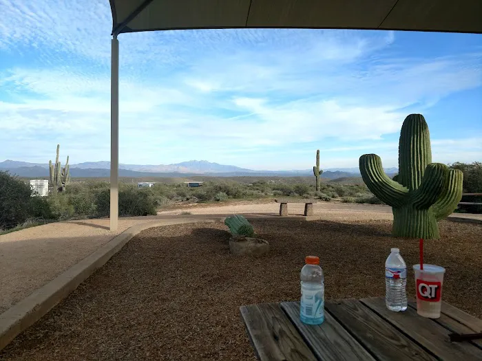 Rowland Campground At McDowell Mountain Park Picture 6