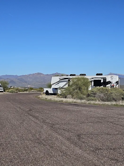 Rowland Campground At McDowell Mountain Park Picture 8