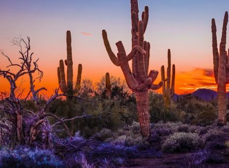 Cave Creek Regional Park Campgrounds