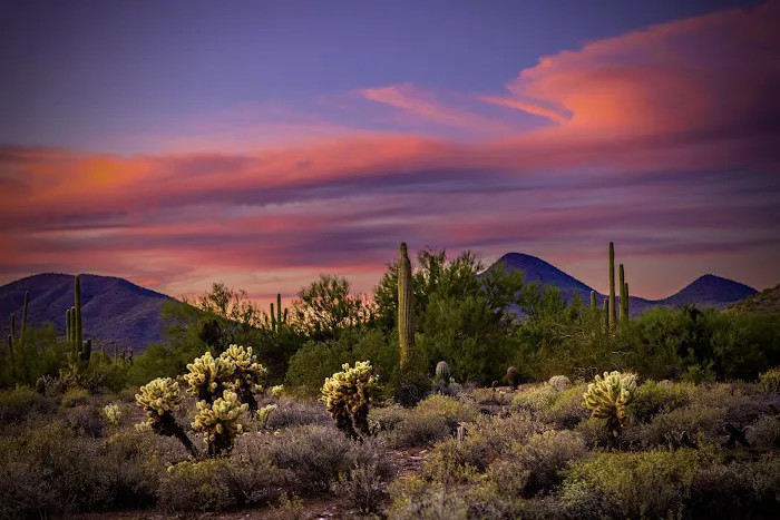 Cave Creek Regional Park Campgrounds Picture 2