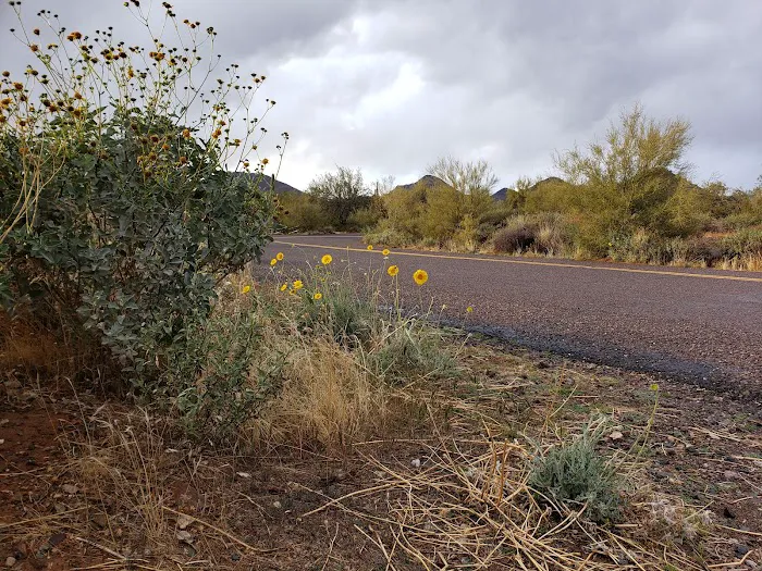 Cave Creek Regional Park Campgrounds Picture 6