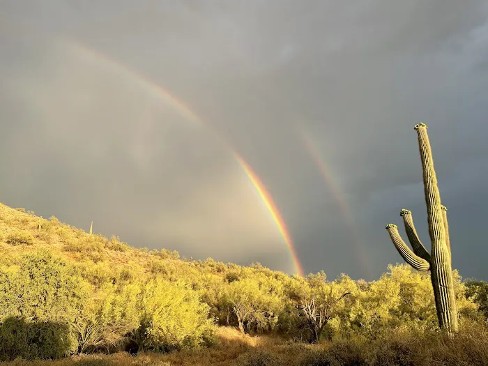 Cave Creek Regional Park Campgrounds Picture 10