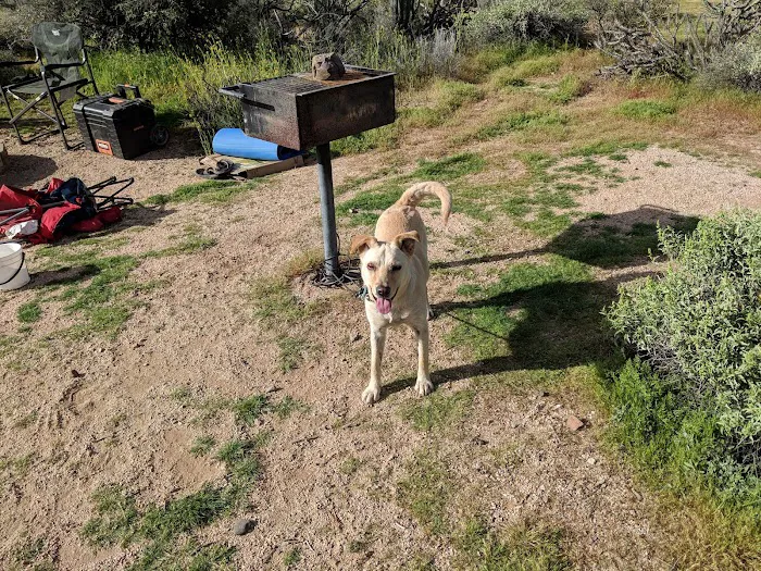 Ironwood Picnic Area and Campground Picture 8