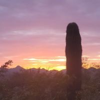 Roadrunner Campground ico