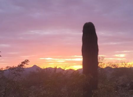 Roadrunner Campground