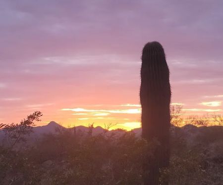 Roadrunner Campground