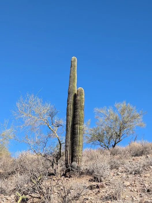 Roadrunner Campground Picture 2