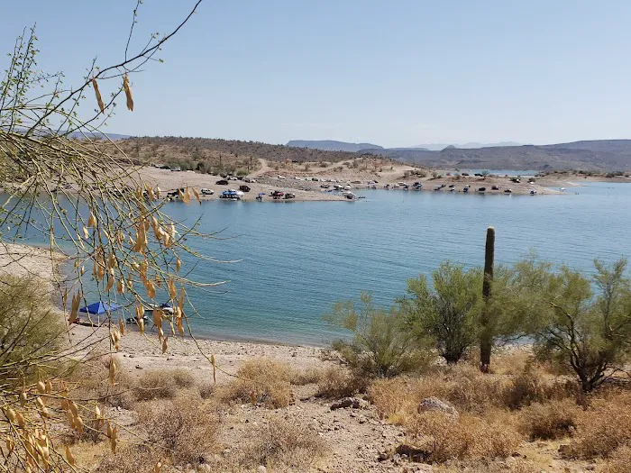 Desert Tortoise Campground Picture 4