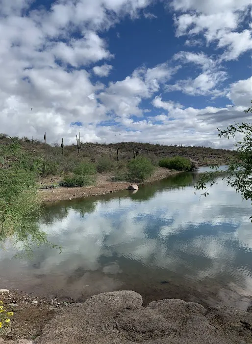 Desert Tortoise Campground Picture 9