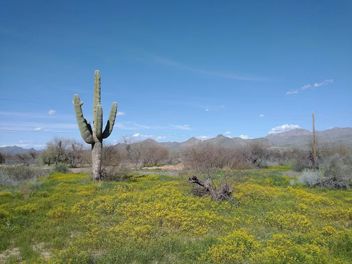Box Bar Recreation Area, Tonto National Forest Picture 5