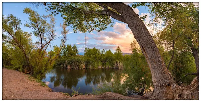 Box Bar Recreation Area, Tonto National Forest Picture 9