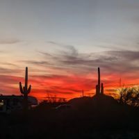 Buckhorn Family Campground ico