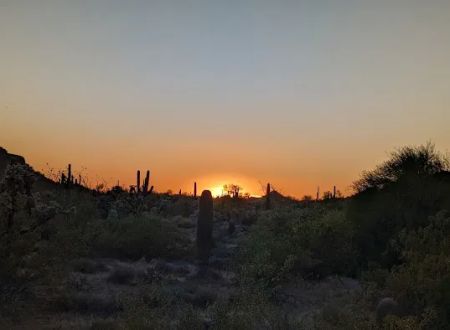 Usery Park Campground