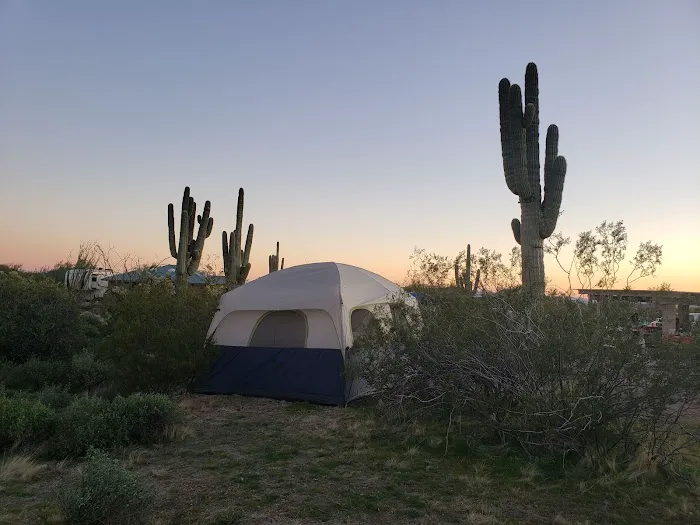 Usery Park Campground Picture 4
